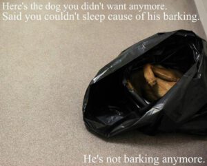 Barking 1