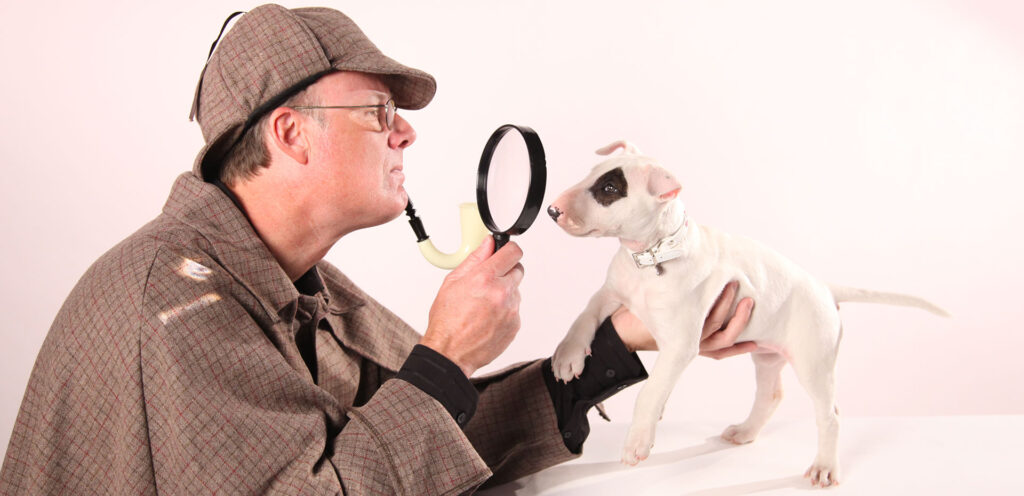 Inspector Sam the Dog Trainer