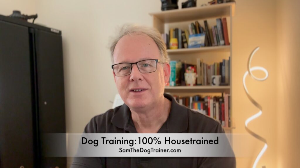 100% Housetrained Video