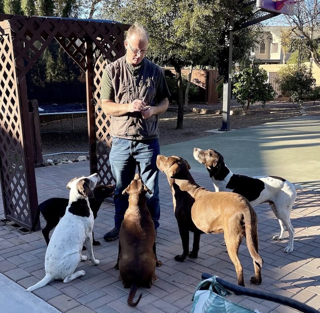 Sam Basso standing on a backyard patio with five dogs gathered around him, several looking up toward him seeking direction